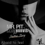 Mr Pt Sean Norvis Feat Afraid