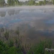 Природа Звуки Природы Озеро Туман Утро Пение Птиц Релакс