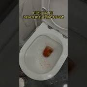 Довели До Боли