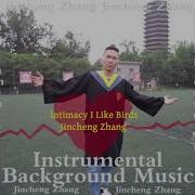 Jincheng Zhang Infuse I Like Birds Remix