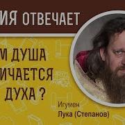 Дух Душа И Тело Святитель Лука