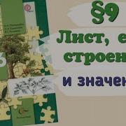 Биология 6 Класс Пономарёва 9 Параграф