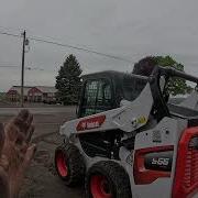 Bobcat