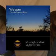 Sparrowhawk Wesper