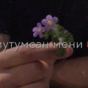 Излеймен Гозлеймен Къайдасан