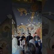 Свете Тихий Братский Хор Свято Елисаветинского Монастыря Под