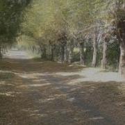Бобожон Падарчон