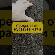 Фишки Работают Мге