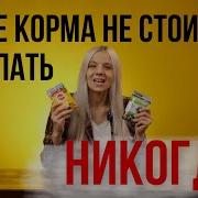 Service Секс С Собакой Форум