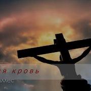 Новые Христианские Песни Марина Аллес Ты Мой Учитель Христианская