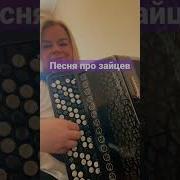 Песня Про Зайцев На Аккордеоне