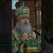 Митрополит Арсений Святогорский