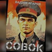 Агарев Вадим Совок