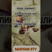 Ёшлик Бе Бошлик