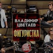 Владимир Цветаев