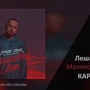 Караоке Малиновый Свет Леша Свик