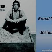 Joshua Radin Brand New Day Radio Edit