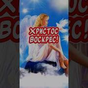 Христос Воскрес Тик Ток