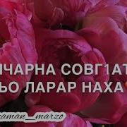 Винчу Денца Сан Хьомечу Вешина Лерина Дешнаш