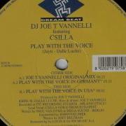 Joe T Vannelli