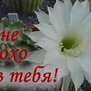 Мне Плохо Без Тебя