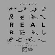 Real Notion Vip Mix