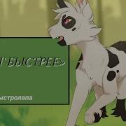 Песня Про Про Быстролапа