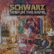 Let S Get This Paper Schwarz