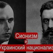 Солонин Размышлизмы