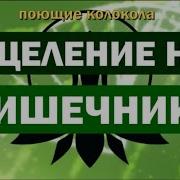 Исцеляющая Музыка Для Здоровья Ног Поясницы Кишечника