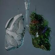 Anyma The First Breath