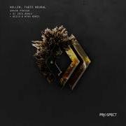 Grain Phaser Hollen Fabio Neural