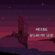 Nisam Pri Sebi Mr King