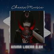 Anima Libera 0 8X 国会鼓Dj抖音版 2023 Remix