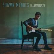 Shawn Mendes Understand