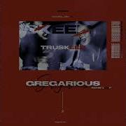 Truskeen Richie Loop Babykeen Gregarious