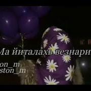 Пархат Ду Са Дог