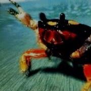 Продиджи Дизель Повер