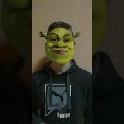 Тебе Чё Ебальник Набить