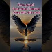 Путь Домой 444