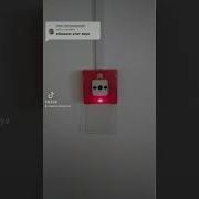 Внимание Тревога Всем Покинуть