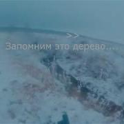 Охота На Бобра С Pcp Пневматикой Beaver Hunting With Air Rifle Весь