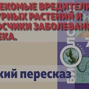 Параграф 28 Биология Константинов