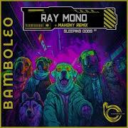 Space Junk Mahony Remix Ray Mono