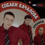 Собаки Качалова Серийный Убийца