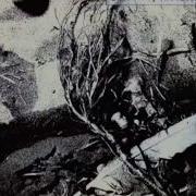Orpheus David Sylvian