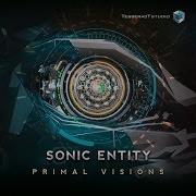 Sonic Entity All Is Mind