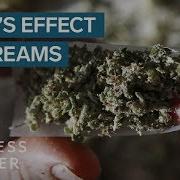 Dreams And Weed