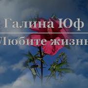 Любите Жизнь Она Прекрасна