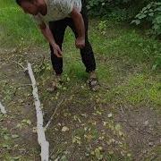 Толян Рубит Дрова В Селе